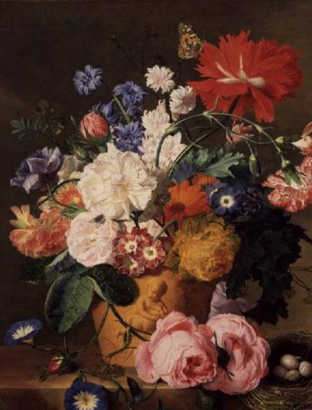 flowers in vase images. Flowers in a Terracotta Vase