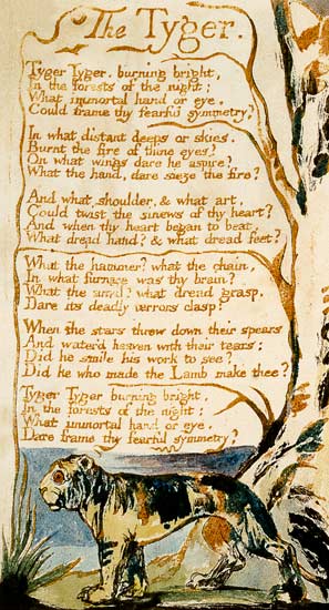 william blake the tyger. The Tyger, from Songs of