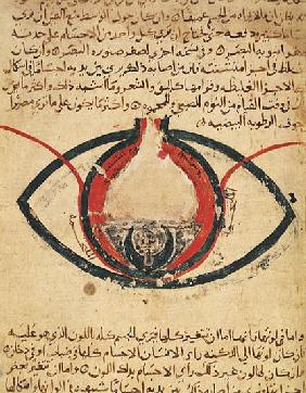 Anatomy of the Eye, from a book on eye diseases