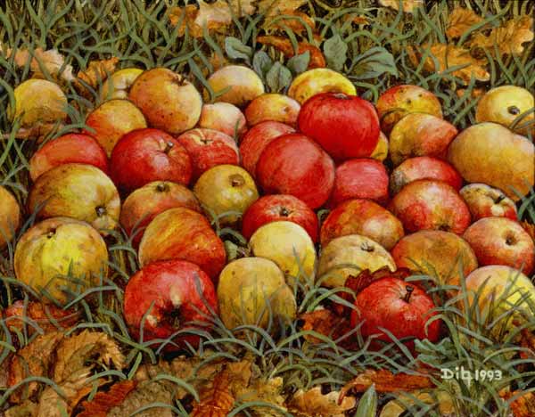 Durnitzhofer Apples, 1993 from Ditz 