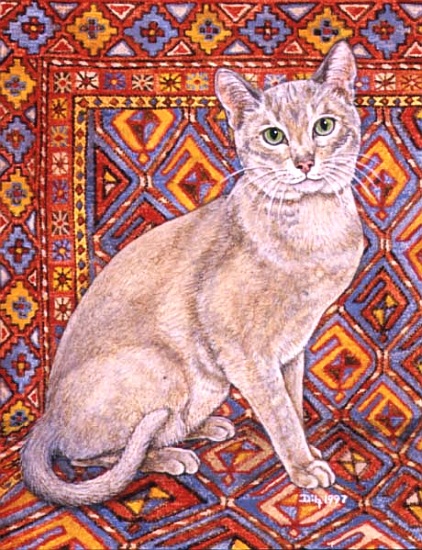 Abyssinian Carpet-Patch from Ditz 