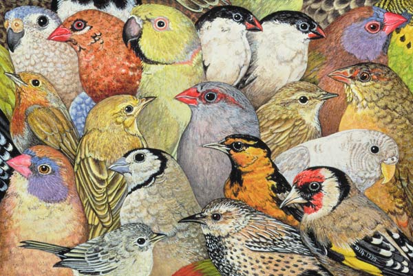 Patchwork-Birds, 1995 (acrylic on panel)  from Ditz 