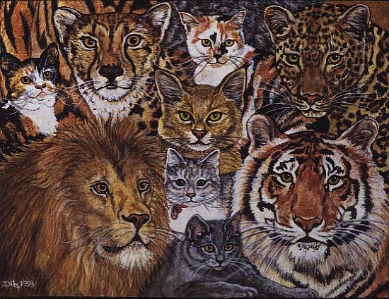 Ileana''s Semi-Wild Cat-Spread-Patch, 1993  from Ditz 