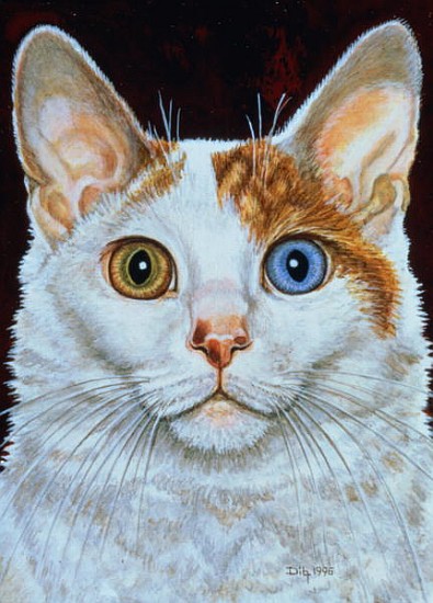 Minette, 1996 (acrylic on panel)  from Ditz 