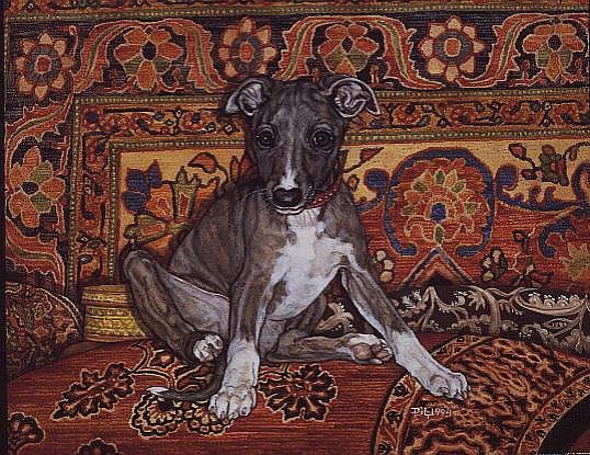 My Whippet Baby, 1994  from Ditz 