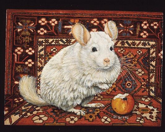 The Carpet-Chinchilla, 1992  from Ditz 