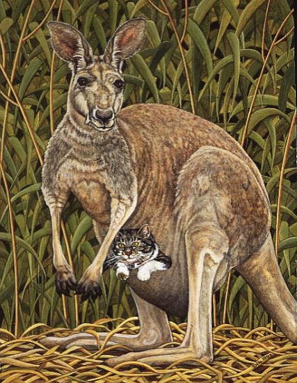 The Kangaroo-Cat  from Ditz 