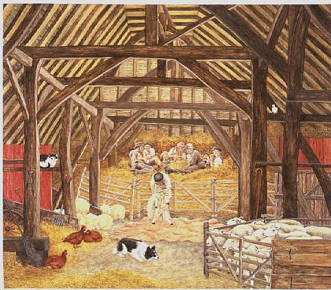 The Shearing Barn  from Ditz 