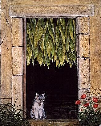 The Tobacco-Cat, 1989  from Ditz 
