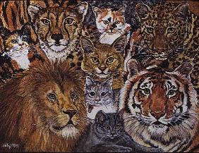 Ileana''s Semi-Wild Cat-Spread-Patch, 1993 