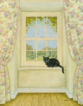 The Window Cat