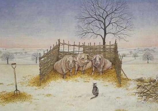 Winter Pigs  from Ditz 