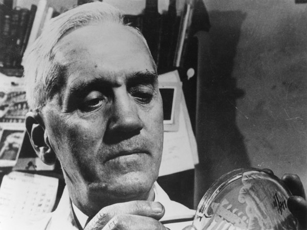 Alexander Fleming (1881-1955) c.1945 (b/w photo)  from English Photographer