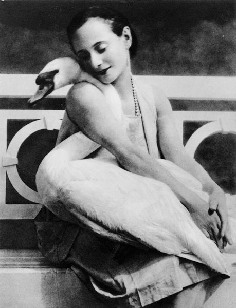 Anna Pavlova with her pet swan Jack, c.1905 from English Photographer