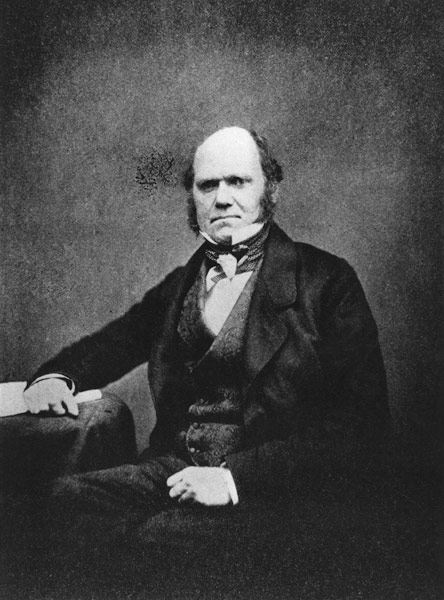 Portrait of Charles Darwin (1809-82) (b/w photo)  from French Photographer