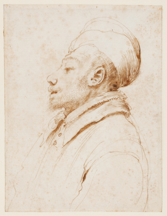 Karikatur eines Mannes im Profil nach links from Guercino (Giovanni Francesco Barbieri)