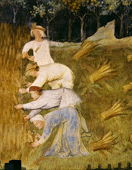 Harvesting wheat, detail from Italian School