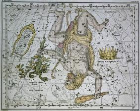 Hercules, from 'A Celestial Atlas', pub. in 1822 (coloured engraving)