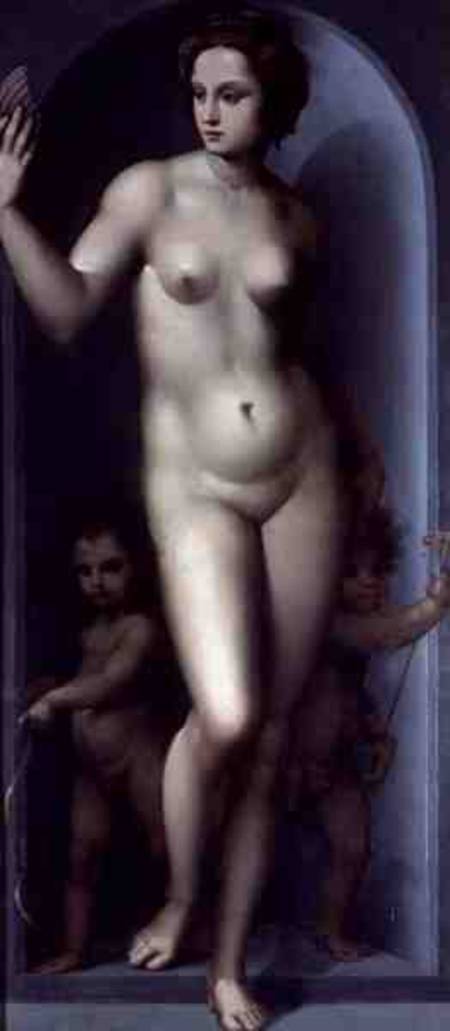 Venus Between Two Amores from A. Piccinelli