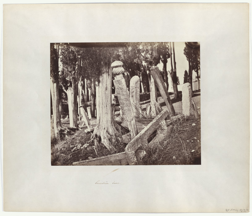 Constantinople: Turkish Cemetery in Scutari from Abdullah Frères