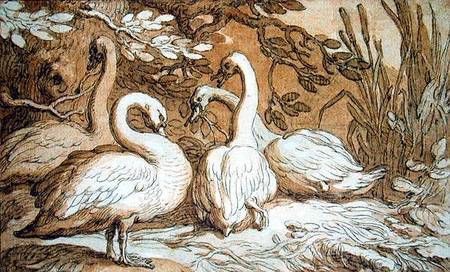 A Group of Swans from Abraham Bloemaert
