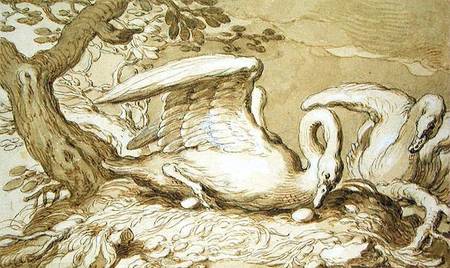 A Swan in her Nest from Abraham Bloemaert