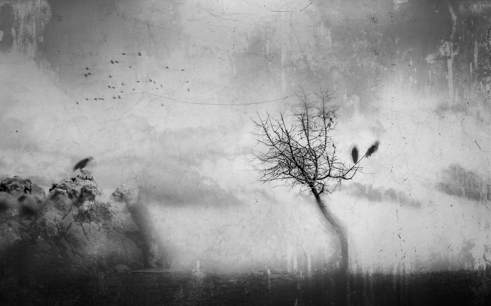 A Slowly Fading Memory from Adam Dauria ☂
