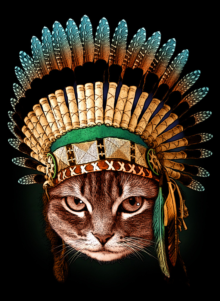 chief cat from Adam Lawless