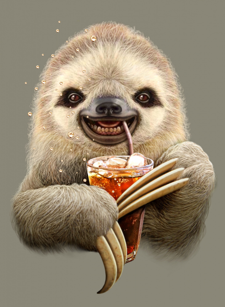 sloth and soft drink from Adam Lawless