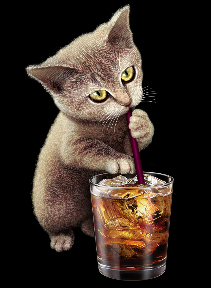 cat and soft drink from Adam Lawless