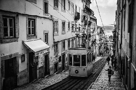 Tram in Lisbon