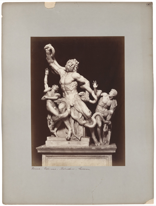 The Laocoon in the Vatican Museum from Adolphe Braun
