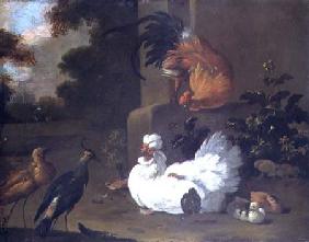 A Ruft, a Lapwing and chickens by a mounting block