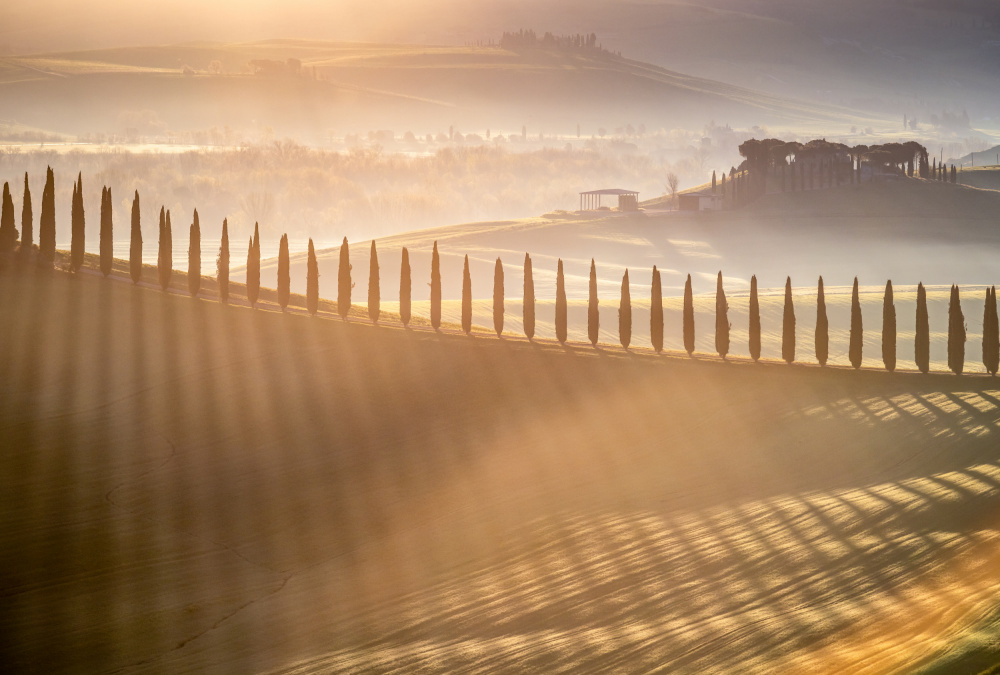 Tuscan Sunrise from Adrian Popan