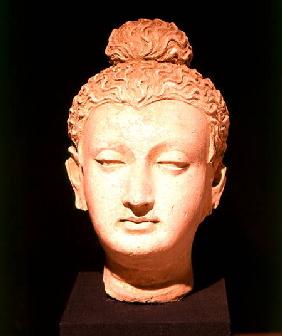 Head of a Buddha, Greco-Buddhist style, from Hadda