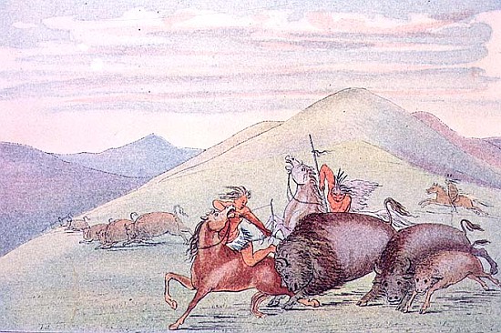 Buffalo bull protecting calf and mother under attack from (after) George Catlin