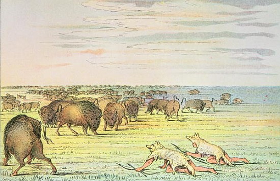 Stalking buffalo from (after) George Catlin