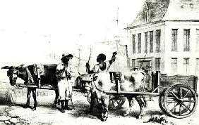 Negro Boys with bullock carts, from ''Voyage a Surinam'' 1834