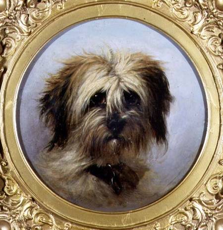 A Head of a Terrier (board) from Agnes Dundas
