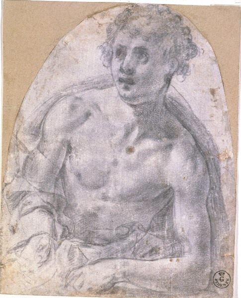 A.Bronzino /Study for St.Sebastian/Draw. from Agnolo Bronzino