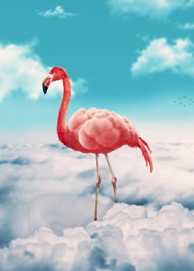 Flamingo In The Clouds