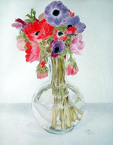 Anemonies, 1982 (coloured pencil on paper)  from Alan  Byrne