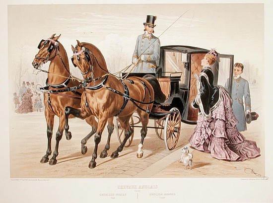 English Horses from Albert Adam