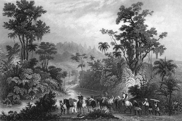 Jagd im Urwalde in Brasilien from Albert Henry Payne