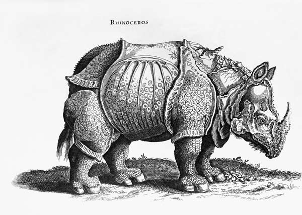 Rhinoceros, no.76 from ''Historia Animalium'' Conrad Gesner (1516-65) published in July 1815 from Albrecht Dürer