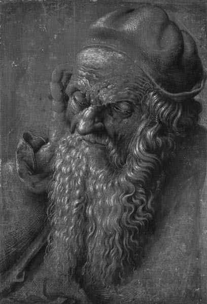Man Aged 93 (brush & ink on paper) from Albrecht Dürer