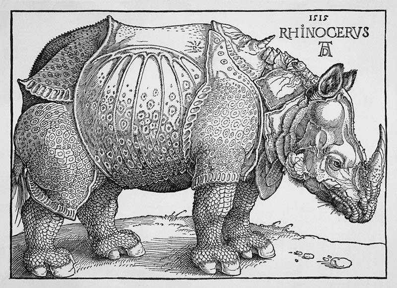 Nashorn - Variation ohne Text in Schwarzweiß from Albrecht Dürer