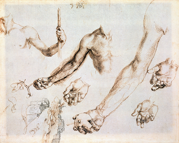 Study of male hands and arms (pen) from Albrecht Dürer
