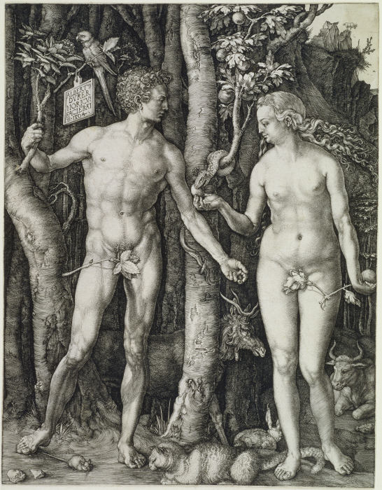 Adam and Eve (The Fall of Man) from Albrecht Dürer
