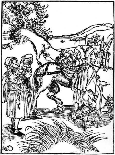 Brant / Ship of Fools / Woodcut / Dürer from Albrecht Dürer
